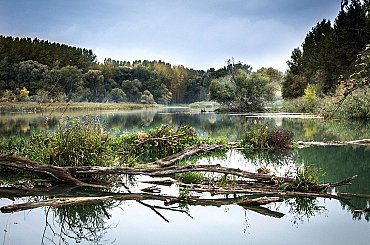 Evropské jádro zrazují řeky. Suchý Rýn zasazuje další ránu i německému průmyslu
