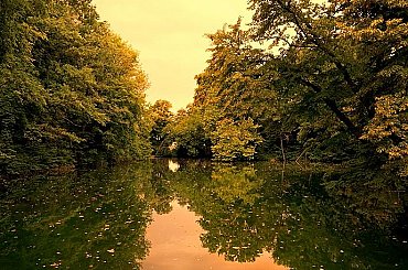 Lesy České republiky obnovily dvě lesní nádrže v CHKO Železné hory